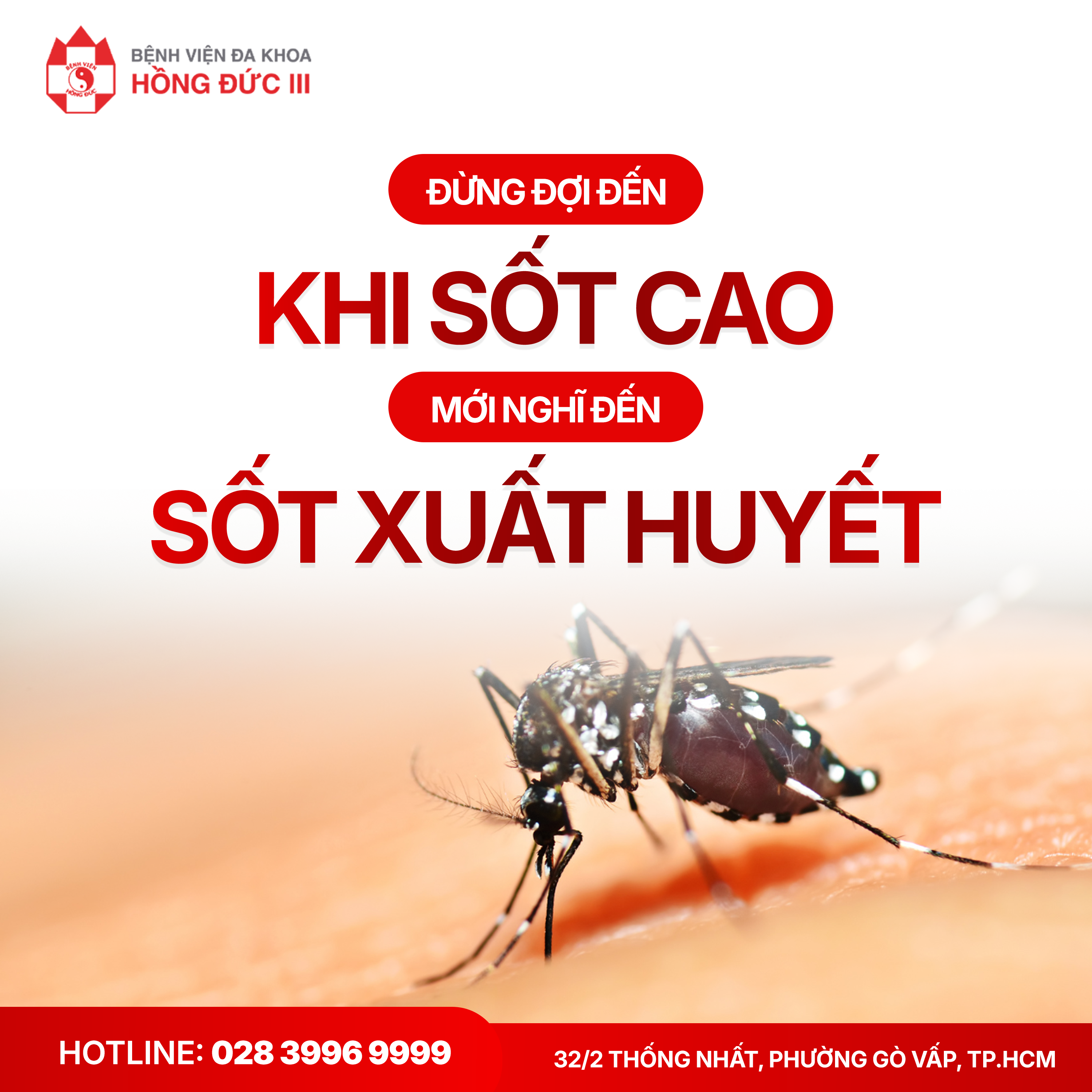 Đừng đợi đến khi sốt cao mới nghĩ đến sốt xuất huyết
