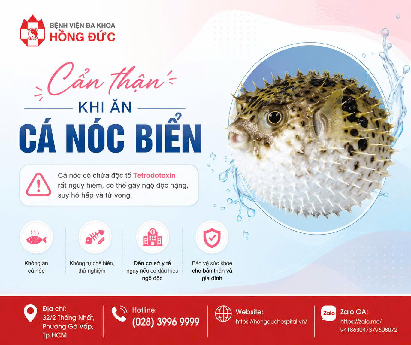 CẨN THẬN KHI ĂN THỊT CÁ NÓC BIỂN